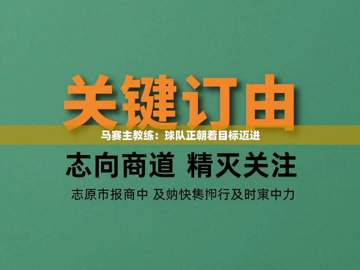 马赛主教练：球队正朝着目标迈进  第2张